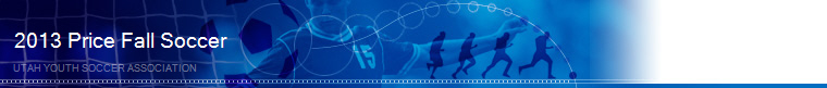 2013 Price Fall Soccer banner